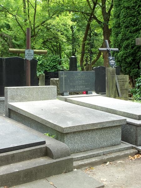 Zdjęcie grobu Regina Czoj (1)