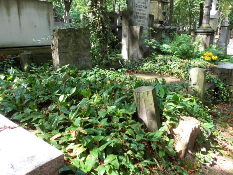 Zdjęcie grobu Marja Rzeszotarska (1)