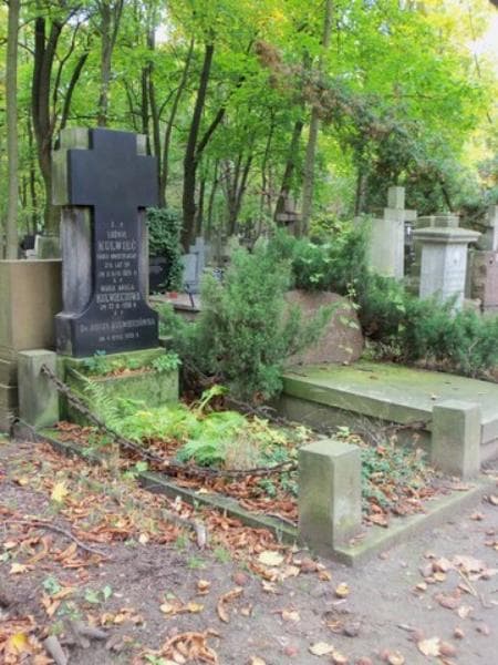 Zdjęcie grobu Zofja Kulwieciówna (1)
