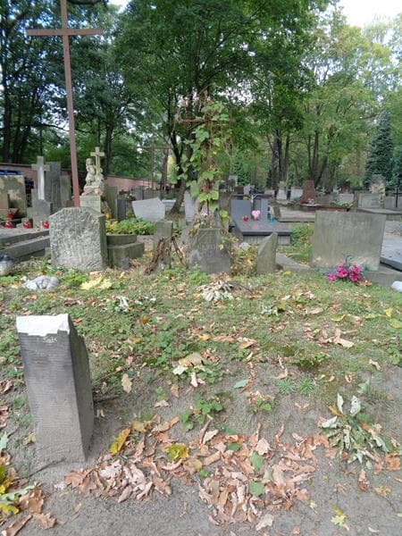 Zdjęcie grobu: Józef Dunin-Wąsowicz