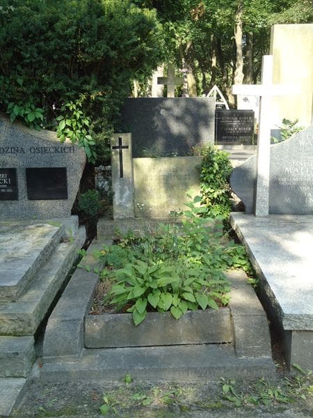 Zdjęcie grobu: Stanisław Bogatkiewicz