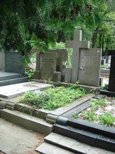 Zdjęcie grobu Władysław Hirsz (1)