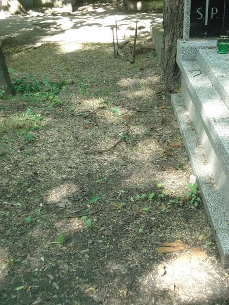 Zdjęcie grobu: Pole Grobowe