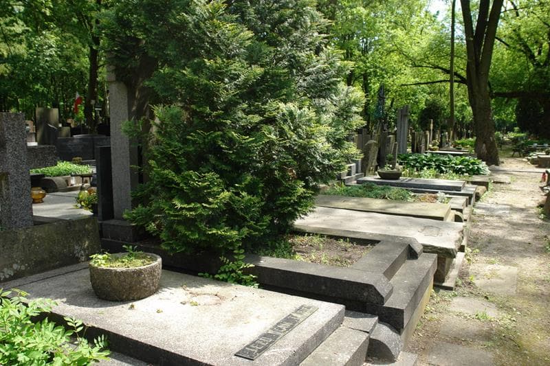 Zdjęcie grobu: Wanda Zbroja