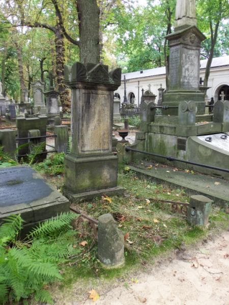 Zdjęcie grobu Józef Brzeziński (1)