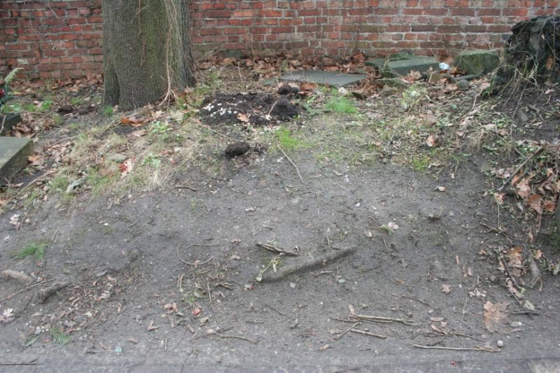 Zdjęcie grobu: Pole Grobowe