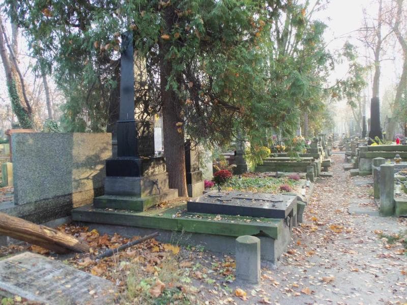 Zdjęcie grobu Bronisława Hoferowa (1)
