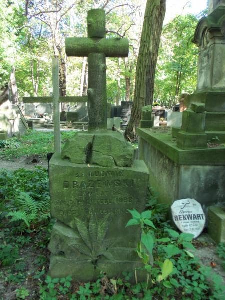 Zdjęcie grobu Ludwik Drążewski (1)