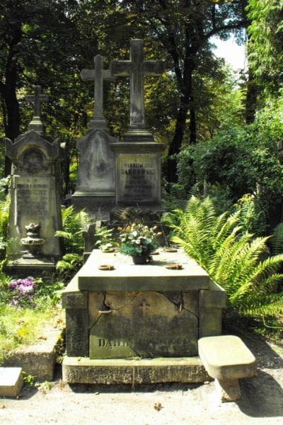Zdjęcie grobu: Helena Dąbrowska