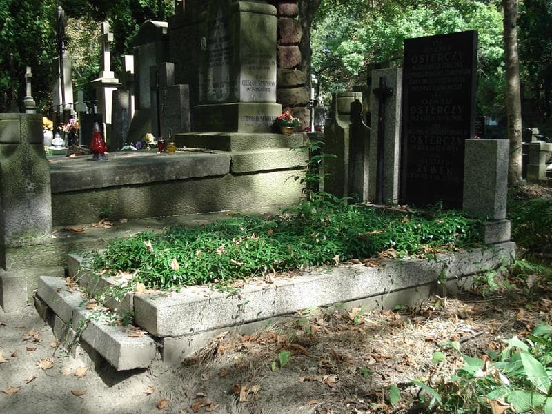 Zdjęcie grobu Ryszard Żywek (1)
