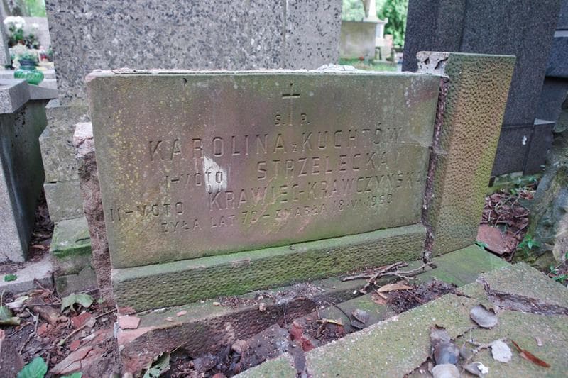 Zdjęcie grobu Aleksander Strzelecki (2)