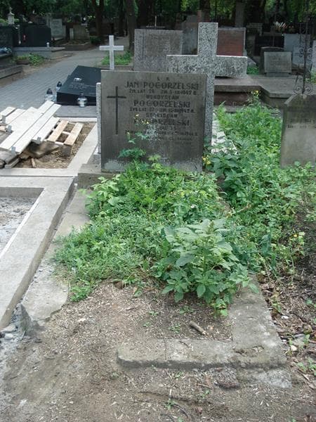 Zdjęcie grobu: Władysław Pogorzelski
