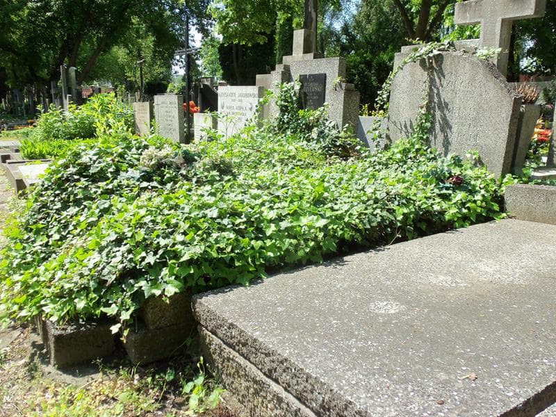 Zdjęcie grobu Romana Lubodziecka (1)