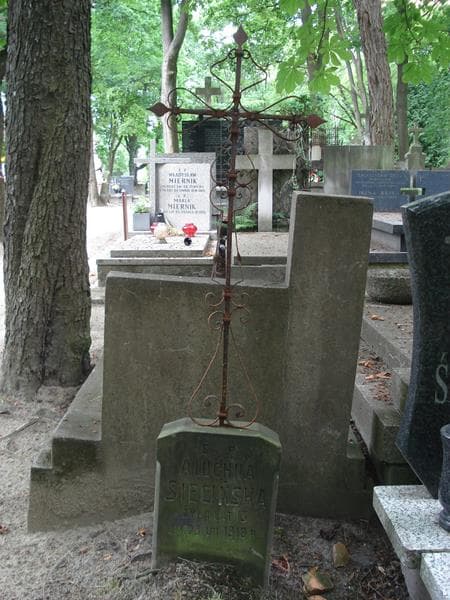 Zdjęcie grobu Aluchna Siecińska (1)