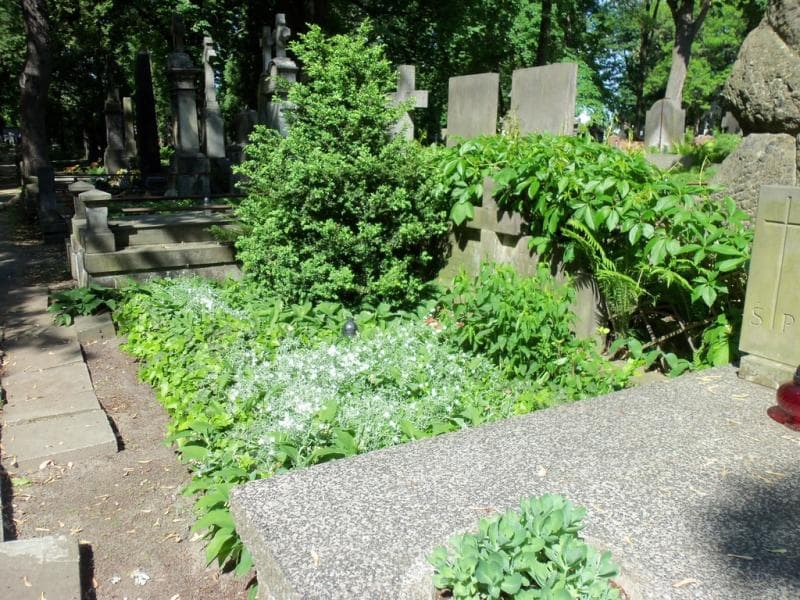 Zdjęcie grobu Anna Słupska (1)