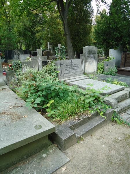 Zdjęcie grobu Maria Michalska (1)