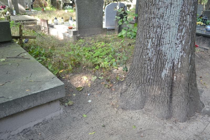 Zdjęcie grobu Pole Grobowe (1)
