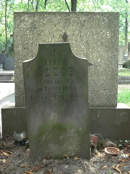 Zdjęcie grobu Tekla Czech (1)