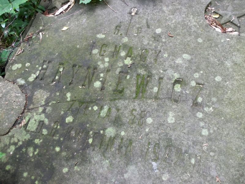 Zdjęcie grobu Ignacy Hryniewicz (2)