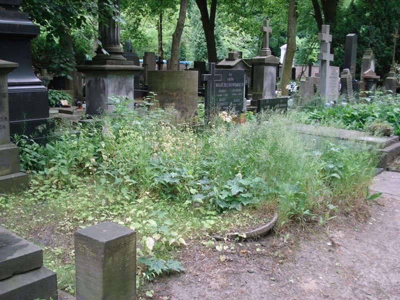 Zdjęcie grobu: Pole Grobowe