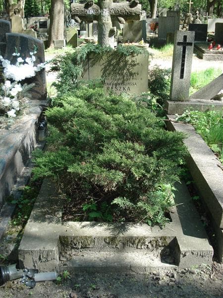 Zdjęcie grobu: Irena Myślińska