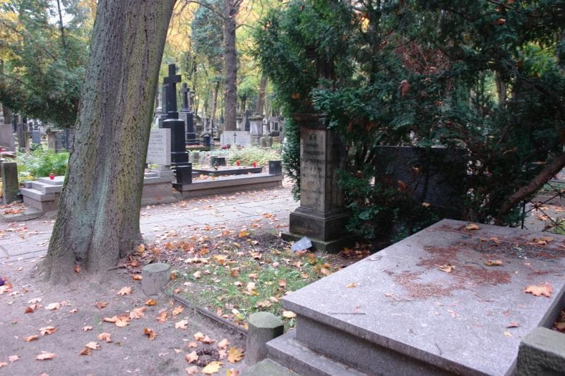 Zdjęcie grobu Feliks Maciejewski (1)
