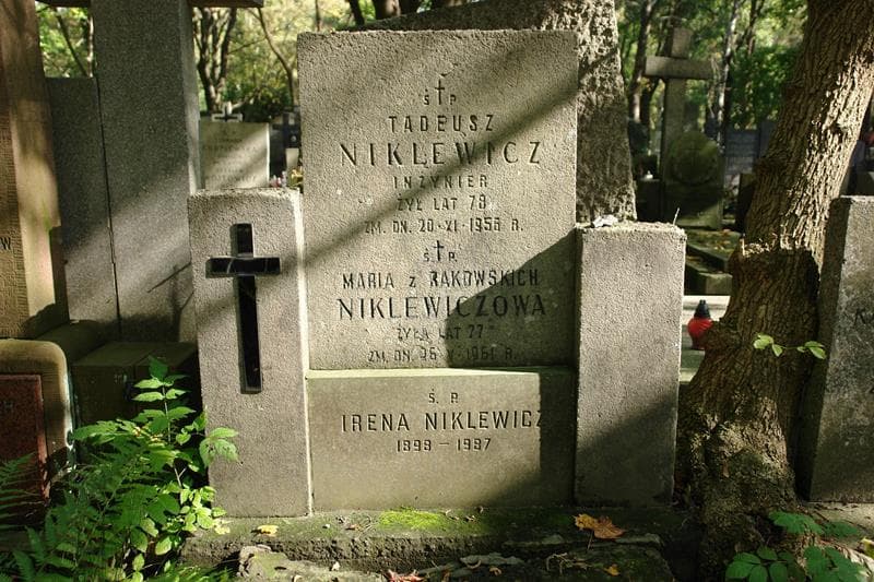 Zdjęcie grobu Tadeusz Niklewicz (2)
