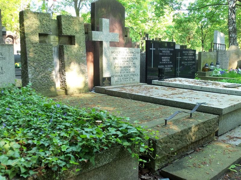 Zdjęcie grobu Rozalia Bożek (1)