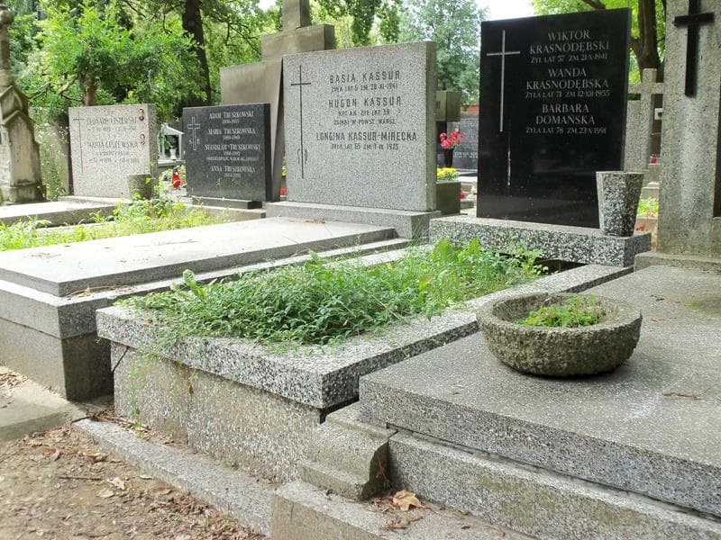 Zdjęcie grobu Barbara Domańska (1)