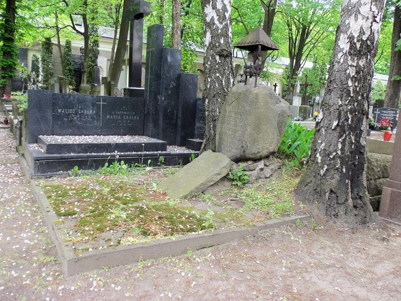 Zdjęcie grobu Zofja Bortkiewiczowa (1)