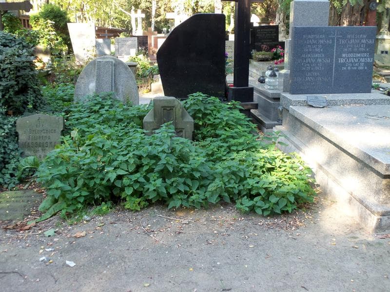 Zdjęcie grobu: Karol Rudziejewski