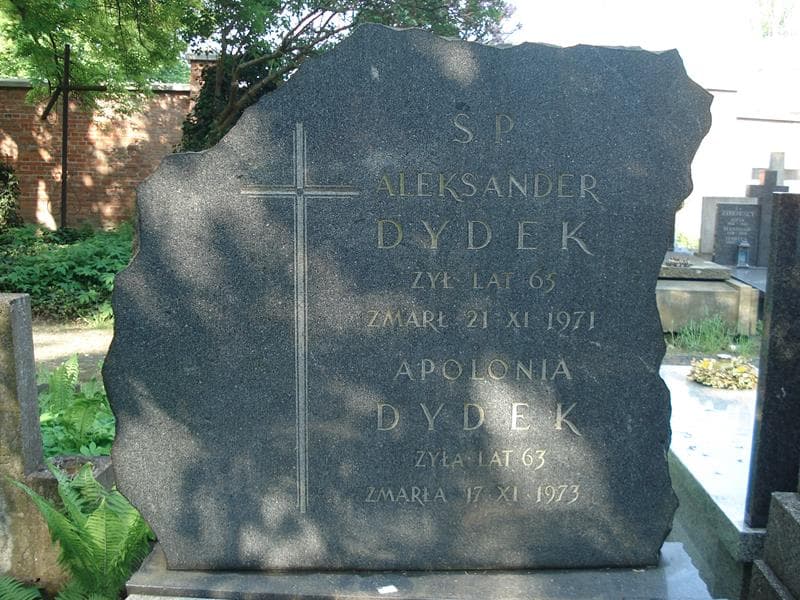 Zdjęcie grobu Aleksander Dydek (1)