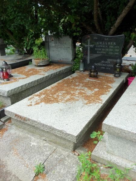 Zdjęcie grobu: Maria Nowostawska