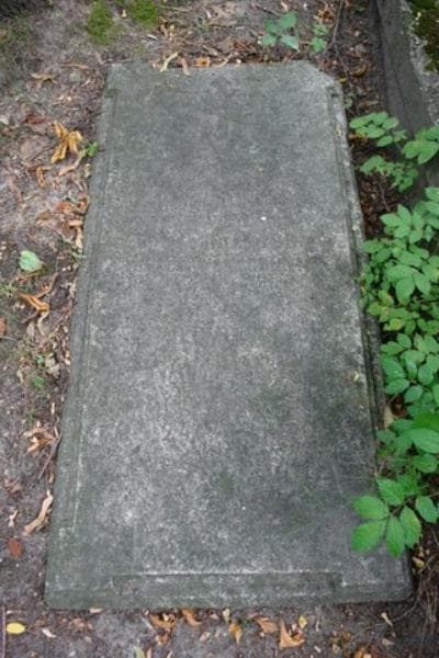 Zdjęcie grobu Ludwik Nawrocki (2)