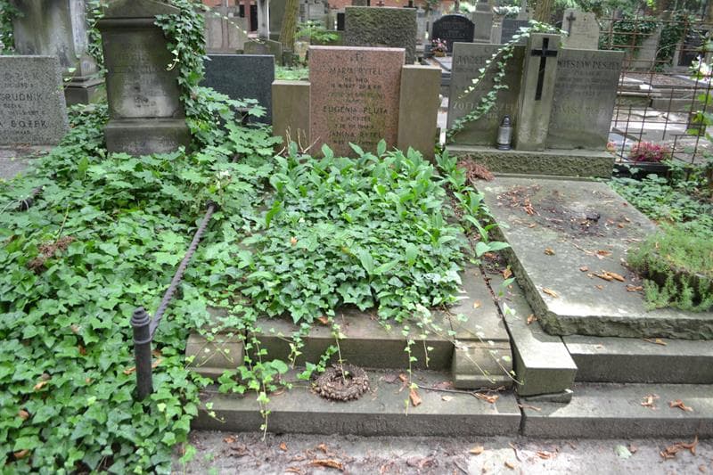 Zdjęcie grobu Eugenia Pluta (1)