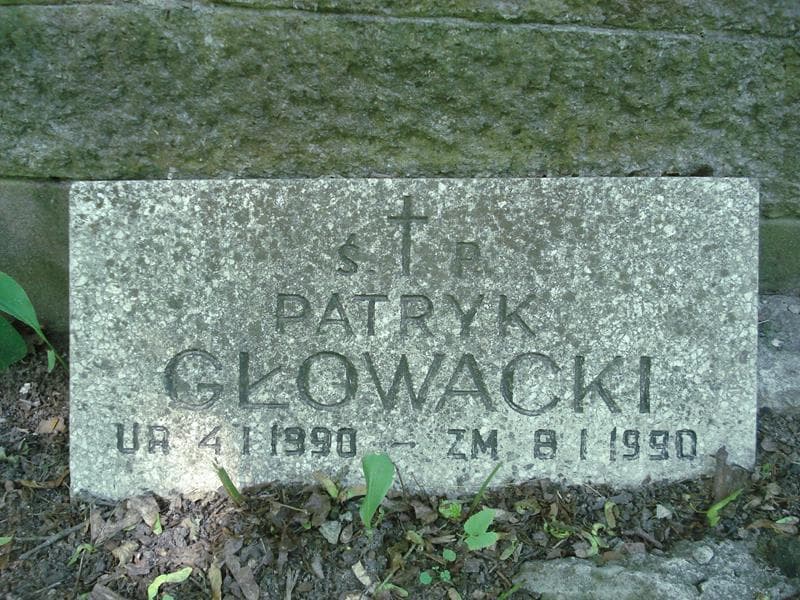 Zdjęcie grobu Pole Grobowe / Głowacki, Berłowska (1)