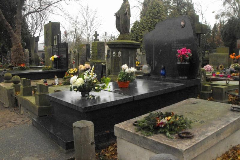 Zdjęcie grobu Wacław Lech (1)