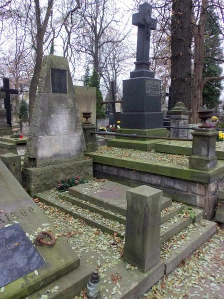 Zdjęcie grobu Czesława Anna Nowicka (1)