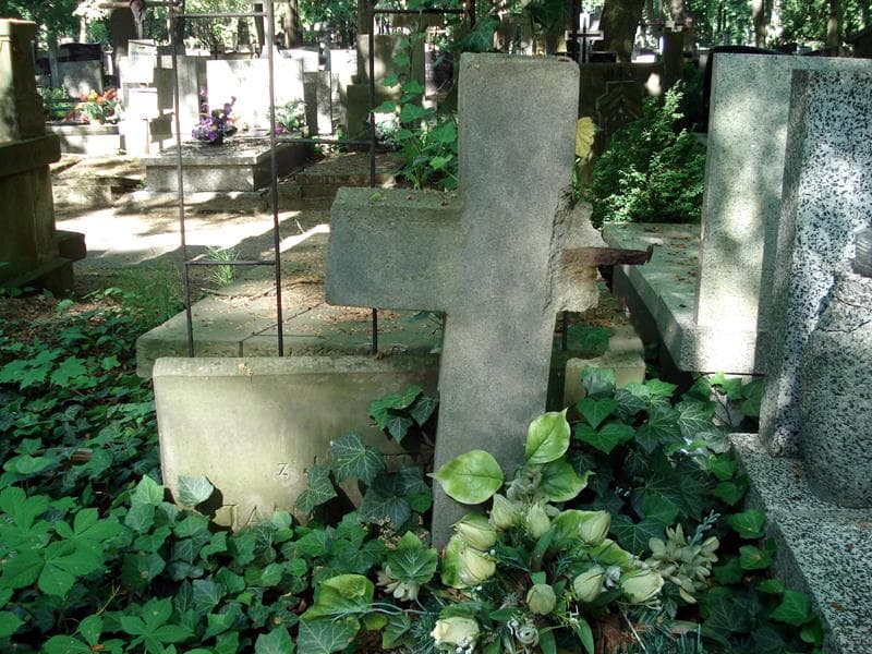 Zdjęcie grobu Janina Ambrożewicz (1)