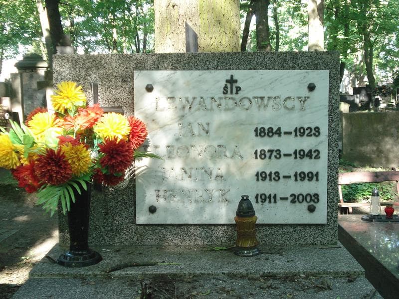 Zdjęcie grobu Jan Aleksander Lewandowski (1)