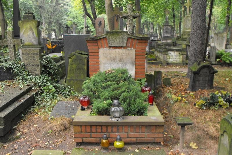 Zdjęcie grobu: Danuta Walczak