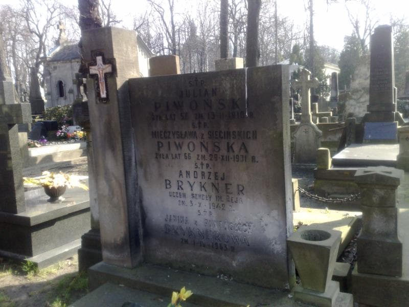 Zdjęcie grobu Andrej Brykner (2)