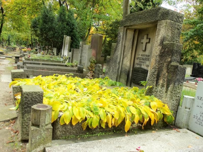 Zdjęcie grobu Zofia Apoznańska (1)