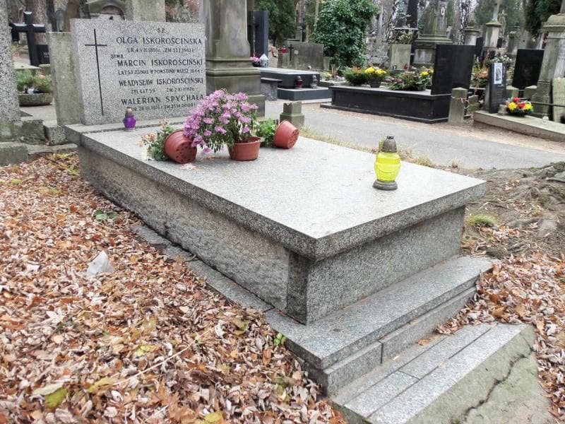 Zdjęcie grobu Olga Iskorościńska (1)