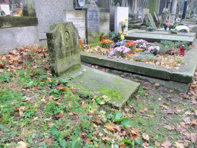 Zdjęcie grobu Henryka Herbowicz (1)