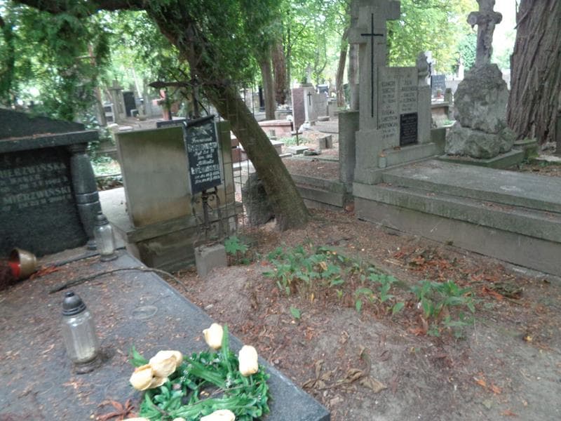 Zdjęcie grobu: Franciszek Dyszkowski