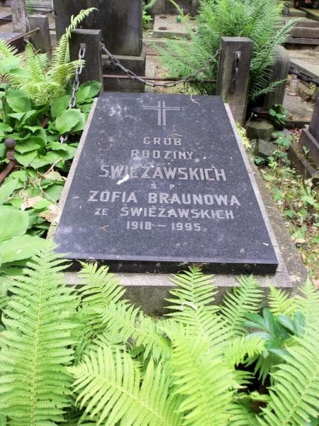 Zdjęcie grobu Zofia Braunowa (2)