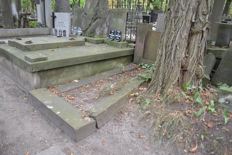 Zdjęcie grobu: Aurelja Wacława Polubiczowa