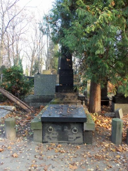 Zdjęcie grobu: Bronisława Hoferowa