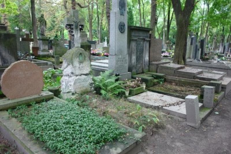 Zdjęcie grobu Stefania Cithurus (1)